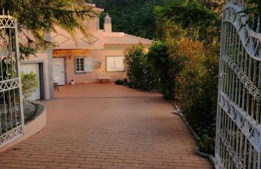 Casa Loureiro - Vista Rio Douro - Foto 49