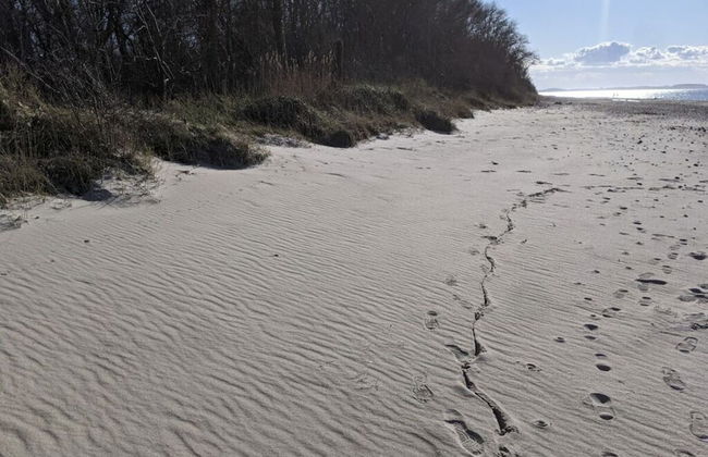 Drie Zeeparels & Spa - Foto 18