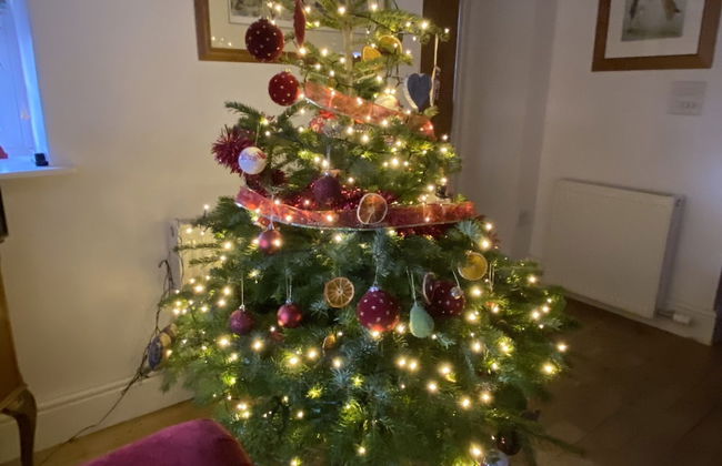 French Vintage Cottage in the Heart of the Fens - Foto 25