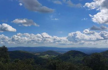 El Racó dels Mussols 2 - Foto 31