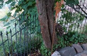 Beas Ferienglück - Foto 23