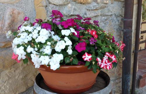 La xica ll - Foto 22