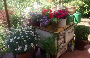 Casa la Collina delle Ginestre - Foto 10