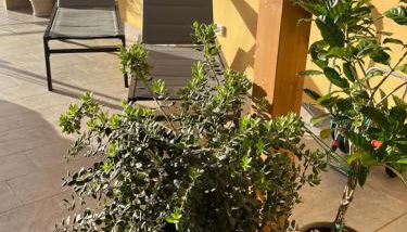 La Terrazza di Nela - Foto 3