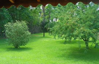 Nosso Cantinho Delfinópolis Serra da Canastra - Photo 10