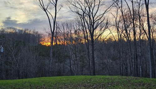 Serenity on The Tims Ford lake - Foto 5