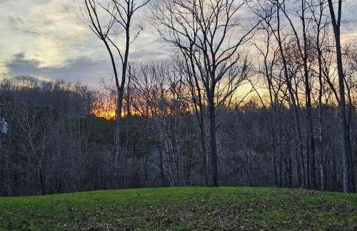 Serenity on The Tims Ford lake - Foto 5