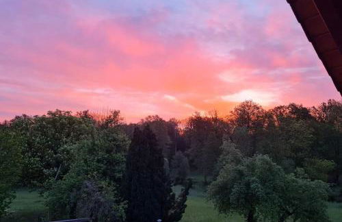 Blockhaus an der Dahme , Ferienhaus - Foto 8