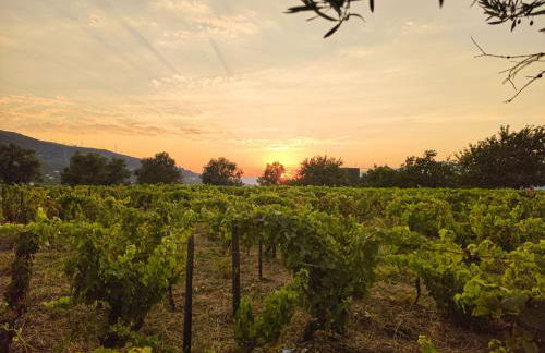 Quinta dos Padrinhos - Suites in the Heart of the Douro - Foto 53