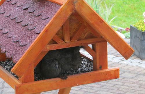 Ferienwohnungen Breternitz - Photo 9