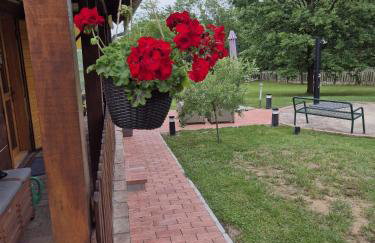 PETRA kuća za odmor - Foto 3