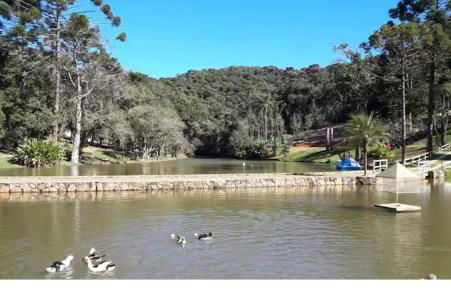 Sítio Eita Mundo Bom - Photo 12