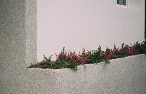 Amodiño do Camiño - Foto 39