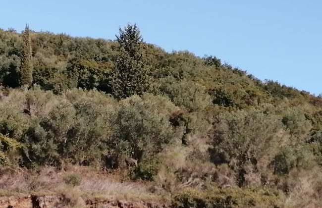 Helen's family home - Photo 47