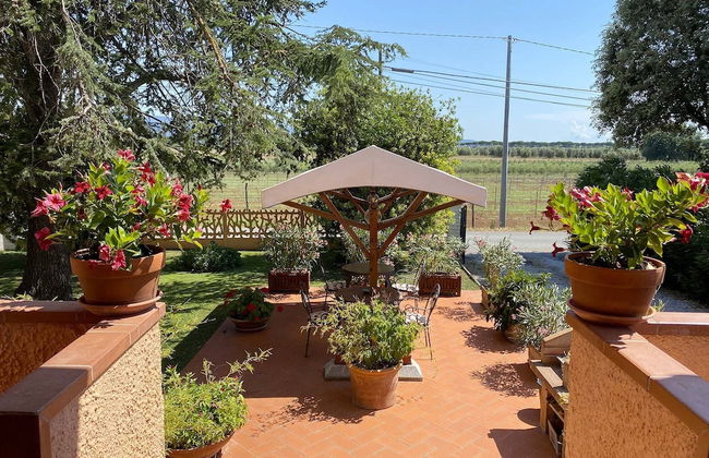 La Mimosa - Photo 55