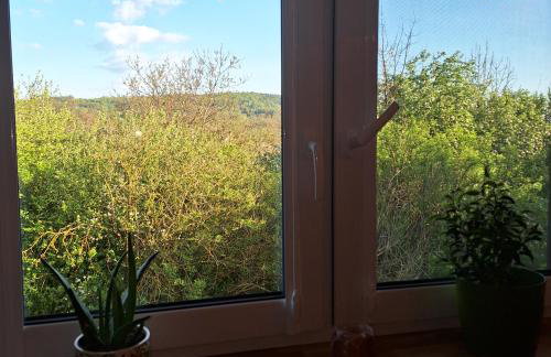 Malowane Domy - Foto 66