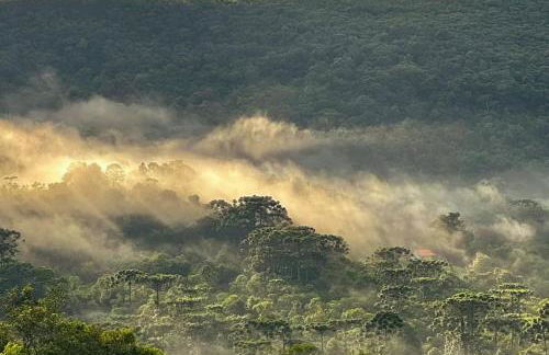 Casa na Cachoeira das Fadas - Matutu, Aiuruoca - MG - Foto 21
