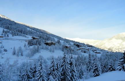 les craterelles - Foto 10