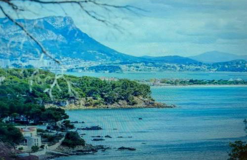 pin rollan beach - Photo 12