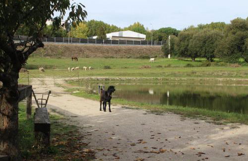 Aparthotel Quinta do Crestelo - Foto 64
