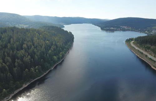 Black Forest Bergliebe Pool Terrasse Natur Ruhe Komfort - Foto 30