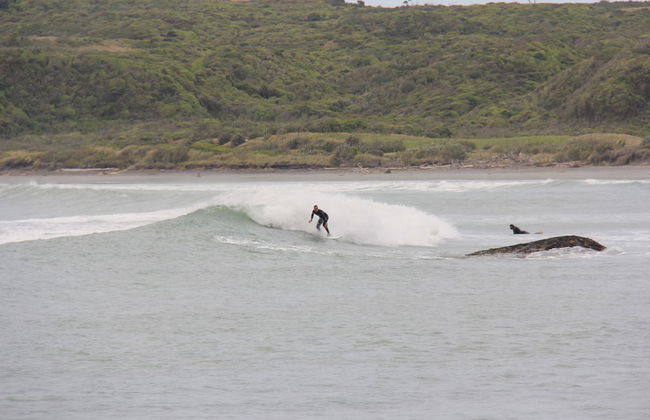 Carters Beach Holiday Studios - Foto 33