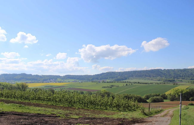 Apartment in the Middle of Franconian Switzerland - Foto 24