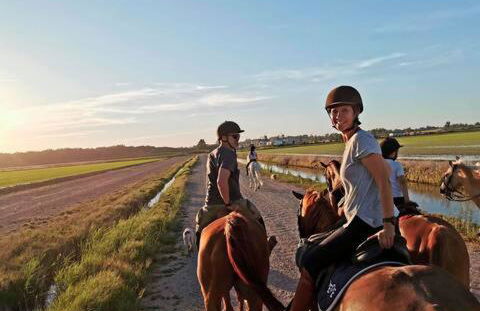 Casa Museo RAKKANA - En el Centro de Requena - Foto 44