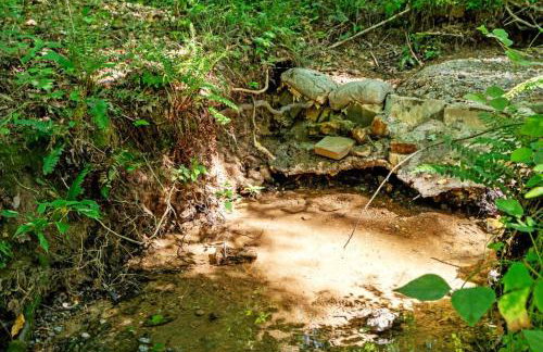 The Heartwood Hideaway-Charming Cabin Getaway-Trails, Creek, and Starry Nights - Foto 11