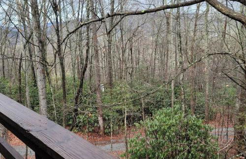 Fletcher NC Getaway - Foto 21