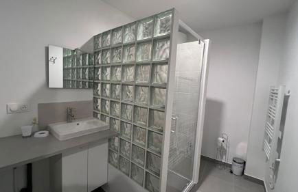 Appartement T2 40 M2 cosy RDC plein centre ville - Foto 32