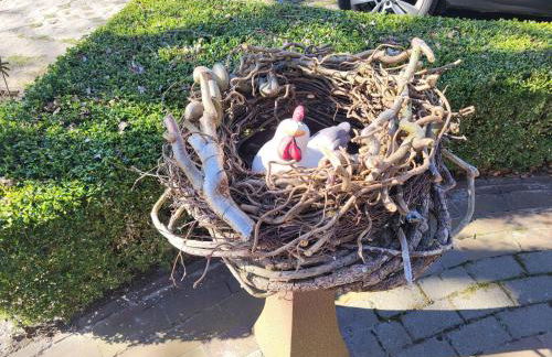 Ferienwohnungen Warnken - Foto 56