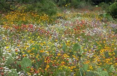 V700 Ranch Stays (Guesthouse)-A Tucked Away Gem - Foto 14