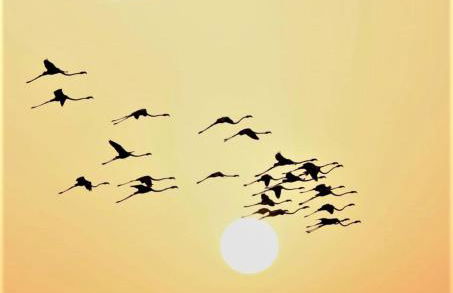 Verde Mare Isola - Foto 22