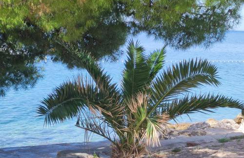 Dolphin view with a pool by the beach - Foto 25