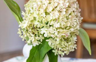 Haus Seestern - Foto 15