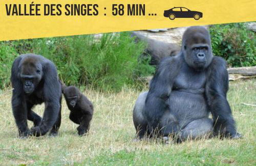 Appartement entier meublé à Beaumont proche Futuroscope et Poitiers Technopole - Foto 71