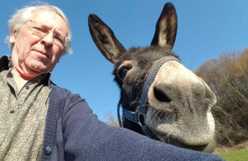 Sunhill Appartments, klimatisiert - Foto 10