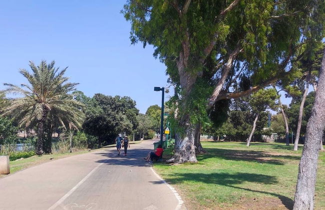 3 Br by park hayarkon 1min 2 Ichilov - Foto 17