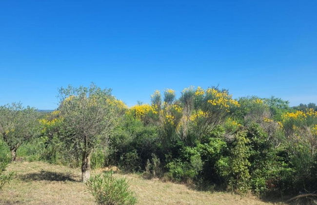 Villa With Pool & Views - Photo 39