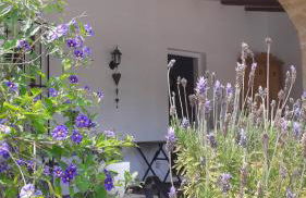 Casa Belle - Photo 15