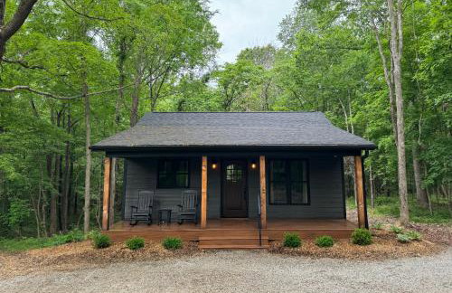 Romantic 1BR Cabin w Hot Tub Near Carbondale - Foto 1