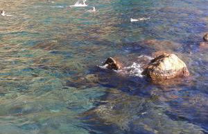 Una Finestra sul Mare - Free Wi -Fi - Foto 60