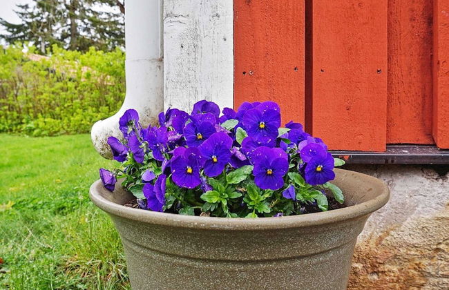 7 Person Holiday Home in Grisslehamn - Photo 17