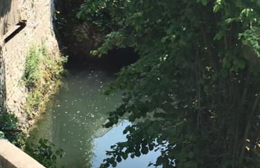 Gite de la petite masse - Foto 24