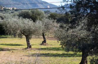 Casa artística i acollidora a Pau - Foto 8