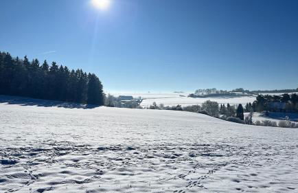 5-Sterne Wohlfühl-Ferienhaus Eifellust - Foto 18