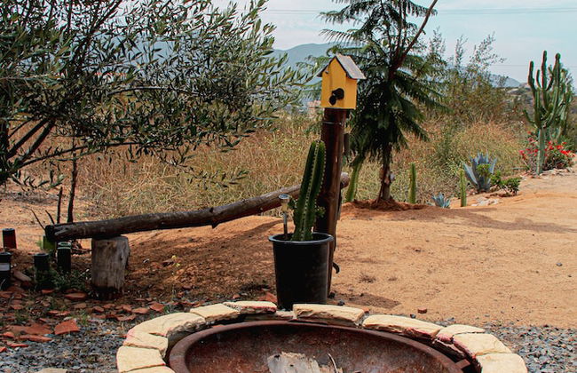 Posada San Antonio - Foto 34