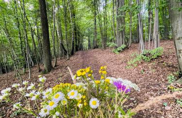 Wioska Jasia i Małgosi - Foto 35