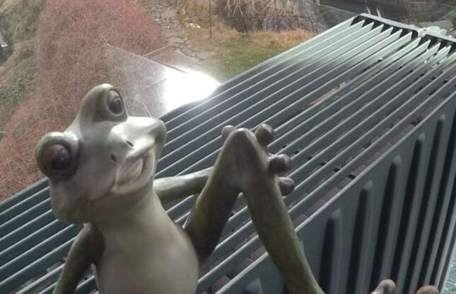 Uitzicht op Droomlocatie - Foto 22